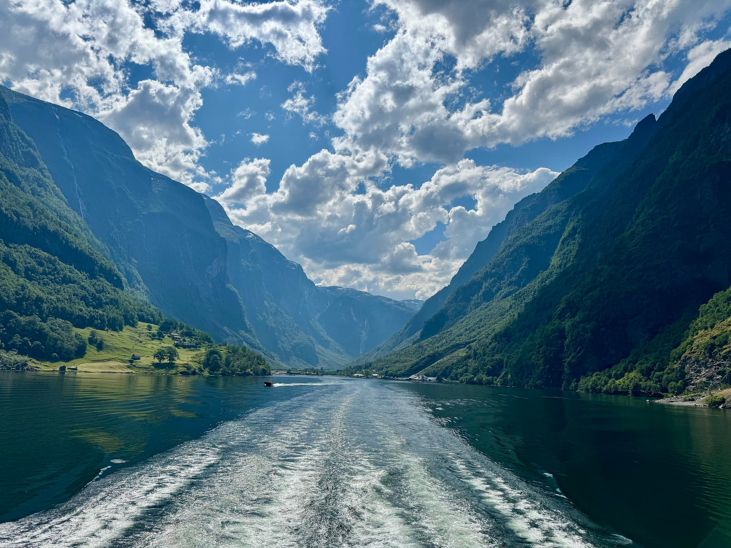 A ship's wake tracing through the narrow green walls of Nærøyfjord