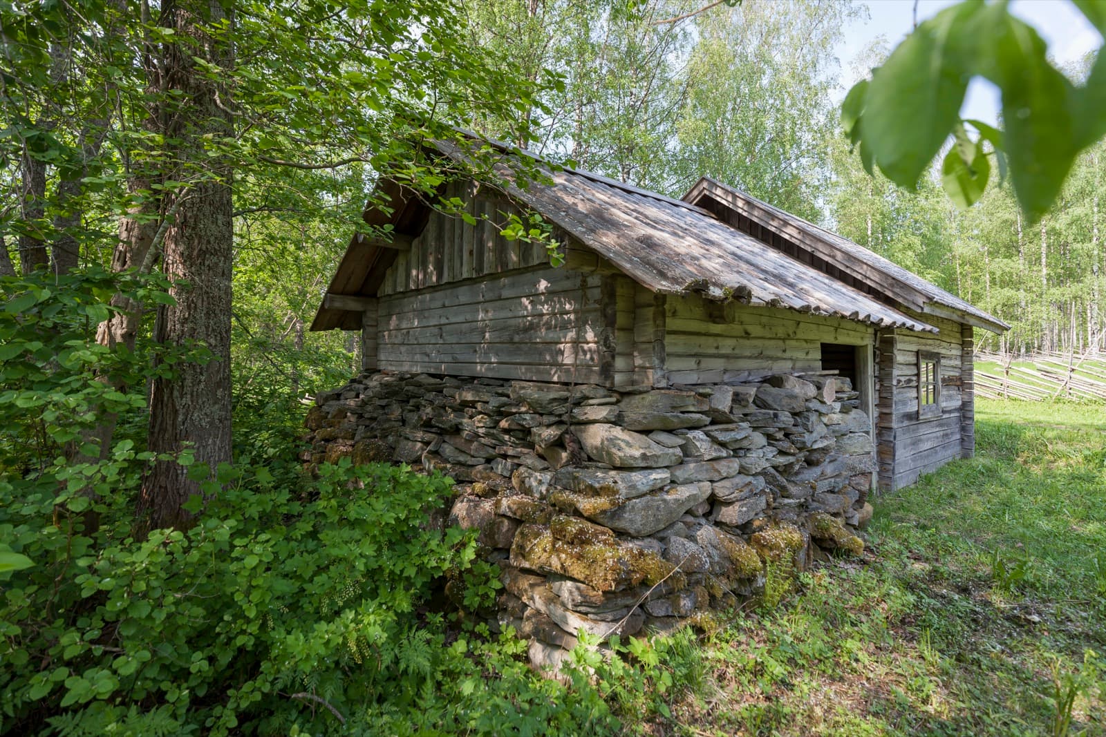 A traditional Finnish smoke sauna of weathered timber on a mossy stone foundation in birch forest